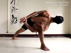 Ardha matsyendrasana yoga pose,  Neil Keleher, Sensational Yoga Poses.