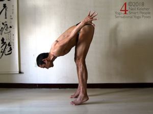Forward Bend Standing Balanced On Forefeet, Neil Keleher, Sensational yoga poses