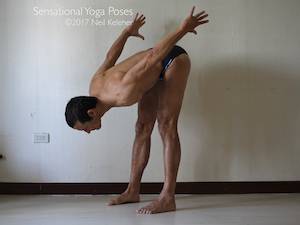 Standing Forward Bend and hamstring stretch, Neil Keleher, Sensational Yoga Poses.