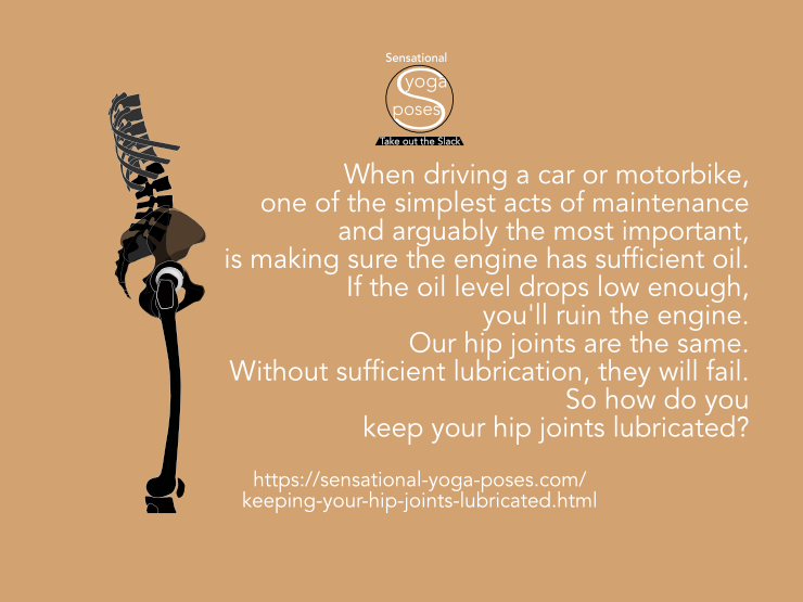 When driving a car or motorbike,  one of the simplest acts of maintenance  and arguably the most important,  is making sure the engine has sufficient oil.  If the oil level drops low enough,  you'll ruin the engine. Our hip joints are the same.  Without sufficient lubrication, they will fail. So how do you  keep your hip joints lubricated? Neil Keleher, Sensational Yoga Poses.