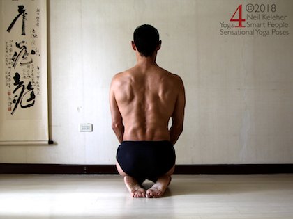 Kneeling spinal back bend view from the back, note how my spinal erectors are active. The lumbar and lower thoracic spinal erectors are a little more prominent. Neil Keleher. Sensational Yoga Poses.