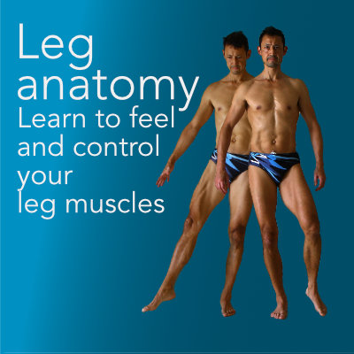 leg anatomy, video download. Neil Keleher, Sensational Yoga Poses.