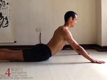 cobra pose with elbows straight