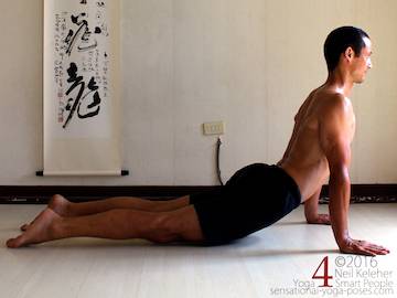 Upward Facing Dog, Neil Keleher, Sensational yoga poses