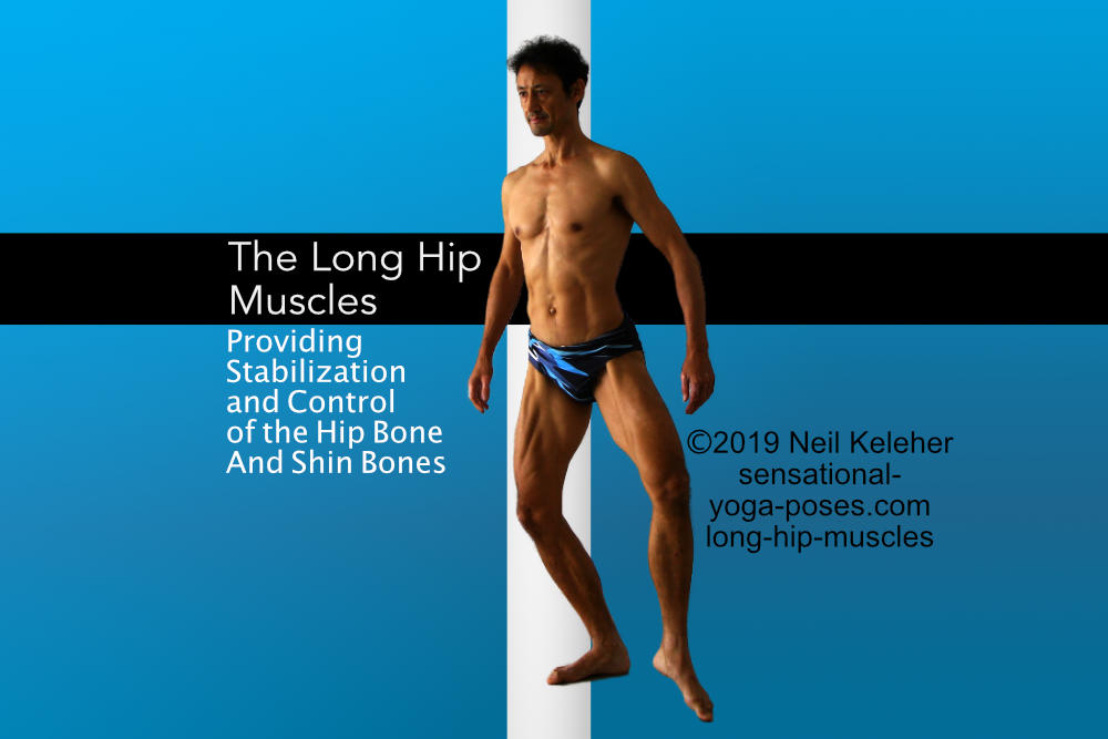 The Long Hip Muscles, Improve Hip Control And Shin Control, Neil Keleher, Sensational yoga poses