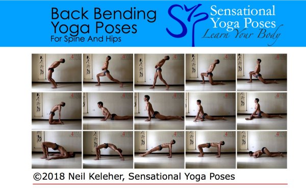 Spinal Back Bending Yoga Poses: Hip thrust, lunge, straight leg lunge, semi kneeling lunges, camel, cobra, up dog, pigeon, bride, wheel, reverse plank, table top, puppy dog. Neil Keleher. Sensational Yoga Poses.