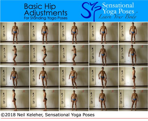 Basic hip adjustements for standing yoga poses: thigh rotations relative to pelvis, moving pelvis relative to thighs, weight shifting. Neil Keleher. Sensational Yoga Poses.