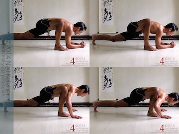 With elbows on the floor in low lunge work at sinking the hips. With hands on the floor in push up position, gradually deepen the elbow bend to sink the chest and hips.