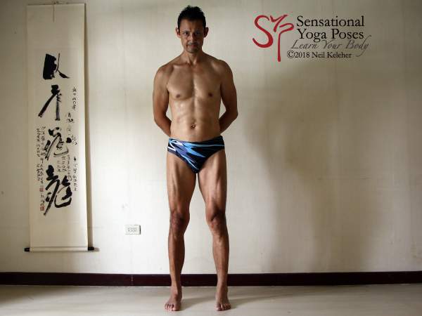 Mindful muscle control, quadriceps activated while standing.. Neil Keleher. Sensational Yoga Poses.