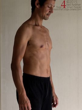 engaging the obliques verus engaging the transverse abdominus, Neil Keleher, Sensational Yoga Poses.