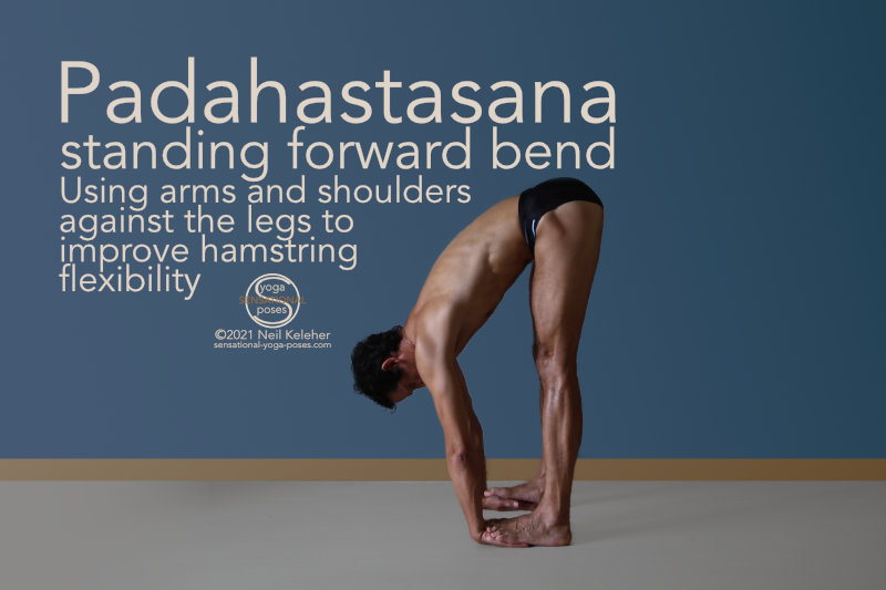 padahastasana, standing forward bend with hands under feet