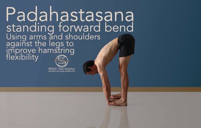 YogaFit_ArchanaShah - Urdhva Uttanasana or Upward Forward Fold Pose or Half  Way Lift exemplifies as a classical and common standing forward bend posture  in yoga which is known for restoring the overall