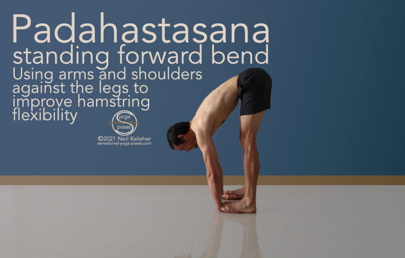 Uttanasana (Forward Bend) Yoga & Benefits | Try it Now! | Yoga benefits, Bend  yoga, Easy yoga poses