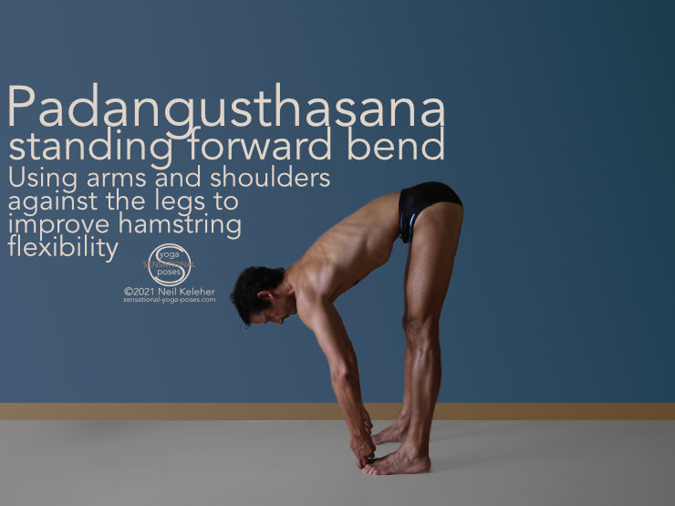 padangusthasana, standing forward bend with big toes grabbed