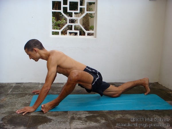 Low Lunge Lotus Prep, Neil Keleher, Sensational yoga poses