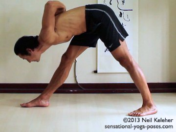 ashtanga yoga poses, parsvottanasana, right side