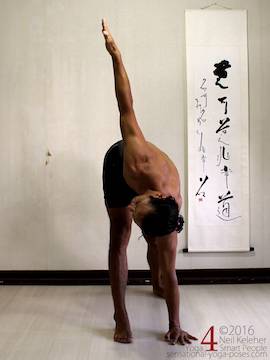 Revolved triangle pushing the hips to the side, neil keleher, sensational yoga poses.