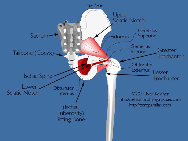 Wrist Pain in Crow Pose