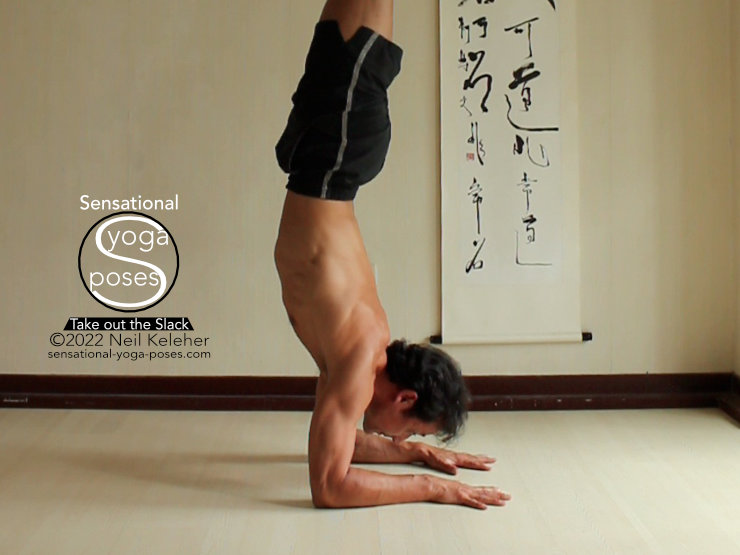 Forearm Stand, Neil Keleher, Sensational yoga poses