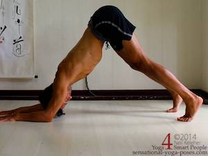 Dolphin Pose, Neil Keleher, Sensational yoga poses