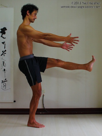 pistol squat standing, yoga for strength