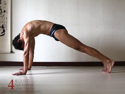 Forward bend for the spine in plank yoga pose. Neil Keleher. Sensational Yoga Poses.