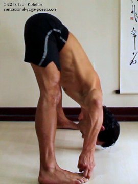 ashtanga yoga poses, prasaritta padotanasana a, side view