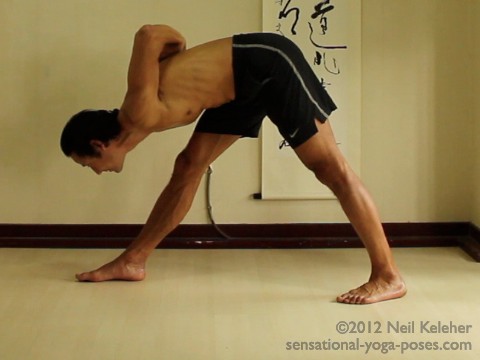 ashtanga yoga poses, utthitta parsvottanasana, right side