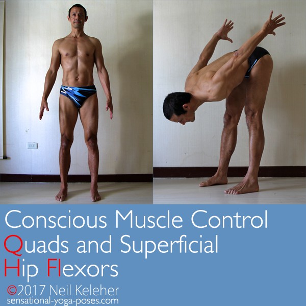 conscious muscle control: quads and superfial hip flexors, mountain pose, standing forward bend, neil keleher, sensational yoga poses.