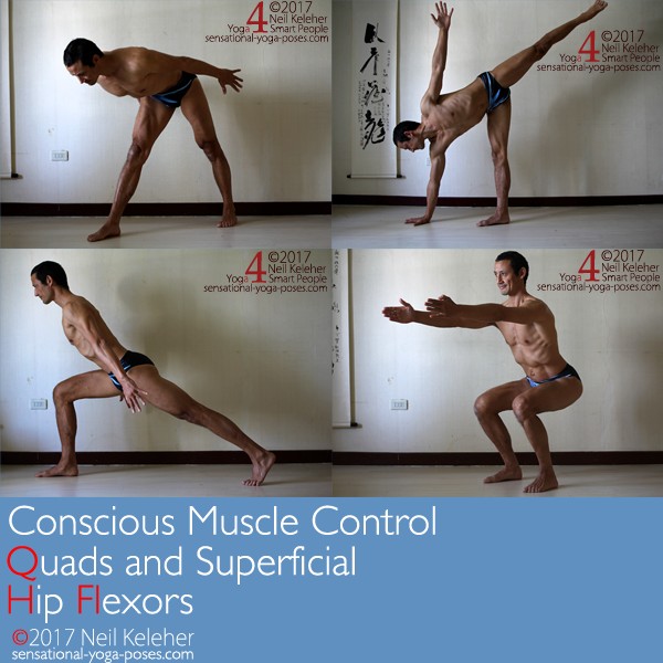 conscious muscle control: quads and superfial hip flexors, front triangle pose, half moon pose, angle lunge pose, chair pose, neil keleher, sensational yoga poses.