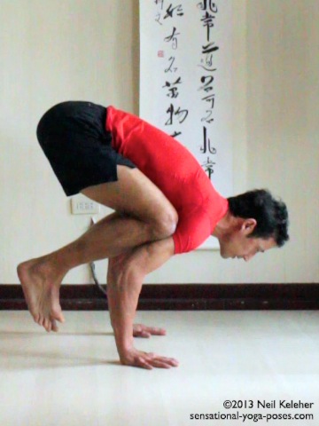 beginners yoga poses, beginners yoga workout, sensational yoga poses, basic yoga poses,  crow pose, bakasana, heron pose, arm balance