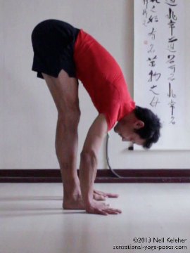 , standing forward bend from side. In standing forward bend yoga pose the legs are straight with both feet flat on the floor. Feet are parallel with toes pointing straight ahead. In this picture feet are hip width apart. Torso is tilted forwards at the pelvis and palms are flat on the floor with elbows straight. Spine is long with a slight forward curve and lower back and ribcage.