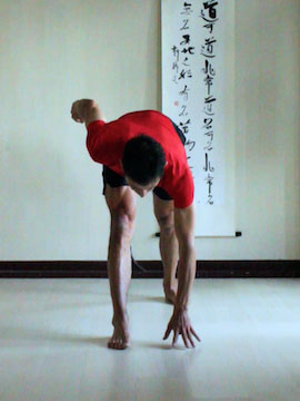 revolving triangle (parivrtta trikonasana or twisting triangle) bending forwards and getting ready to twist