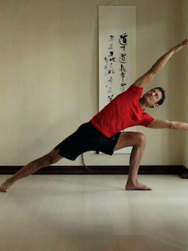 side angle pose (utthitta parsvakonasana) with both arms reaching to the side.