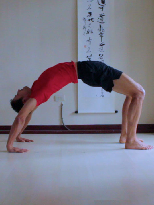 wheel pose, chakrasana or urdhva dhanurasana with weight towards hands