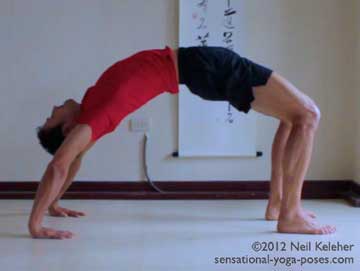 wheel pose, yoga poses, psoas and wheel pose, psoas major, psoas muscle