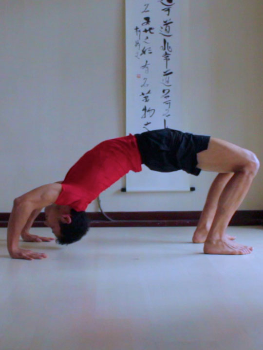 Dhanurasana | Yoga shoulder, Yoga poses, Iyengar yoga