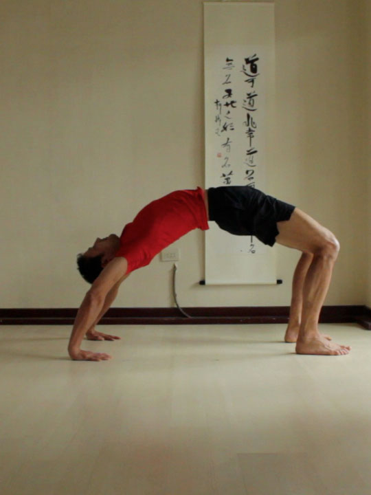 wheel pose, asthanga yoga poses finishing series