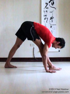 triangle pose forward fold (parsvottanasana)