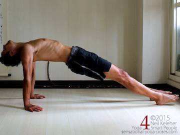 reverse plank