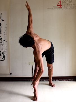 parivrtta trikonasana, Twisting Triangle