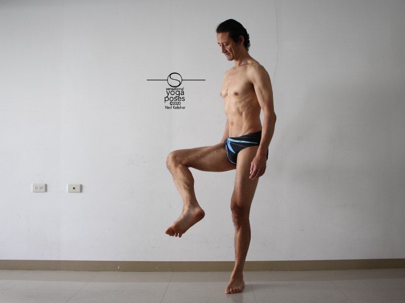 Using the sartorius to flex the hip with knee bent and an externally rotate hip. Neil Keleher, Sensational Yoga Poses.