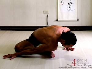 Pigeon With A Twist, Neil Keleher, Sensational yoga poses