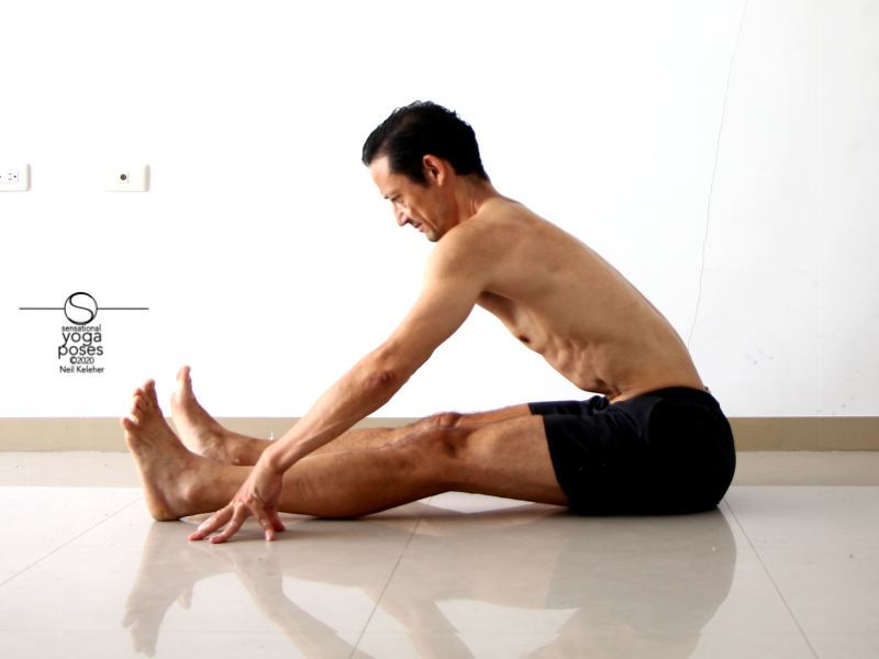 relaxed seated forward bend yoga position, yoga pose, seated hamstring stretch spine long, arms reaching forwards