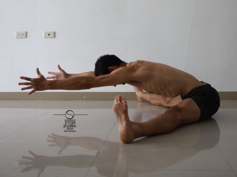 Seated Wide Leg Hamstring Stretch 