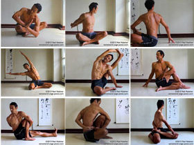 AltX. Neil Keleher. Sensational Yoga Poses.