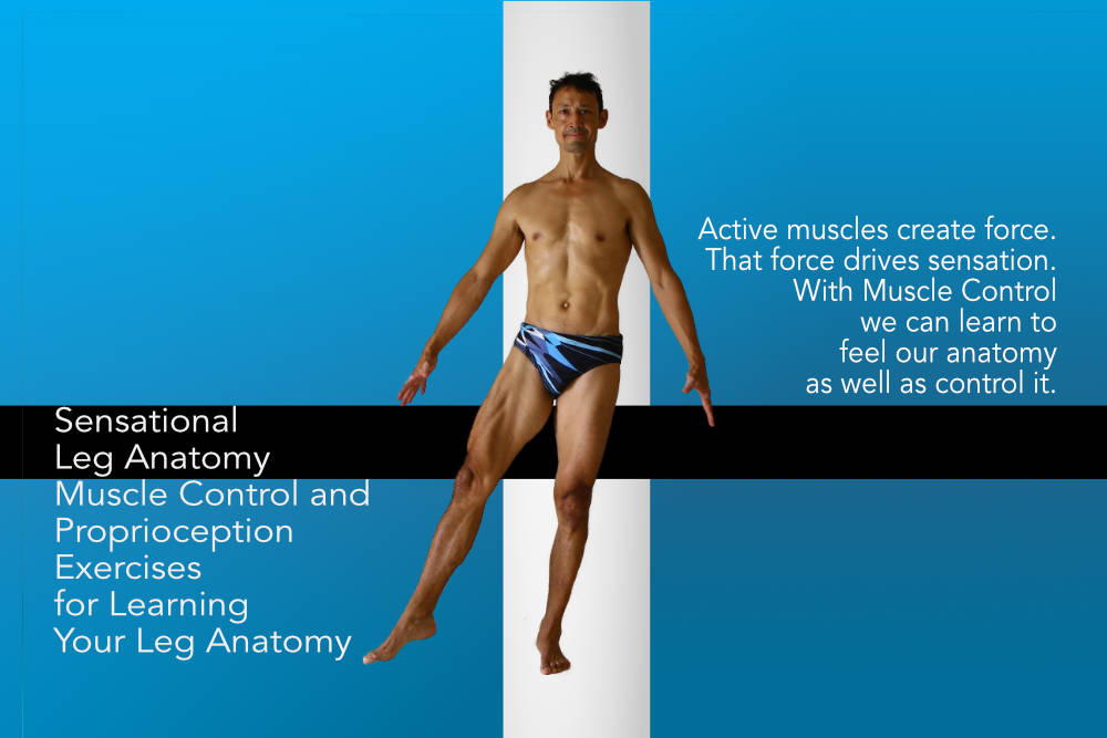 Sensational Leg Anatomy, exercises you can do while standing, no yoga poses required. Neil Keleher. Sensational Yoga Poses.