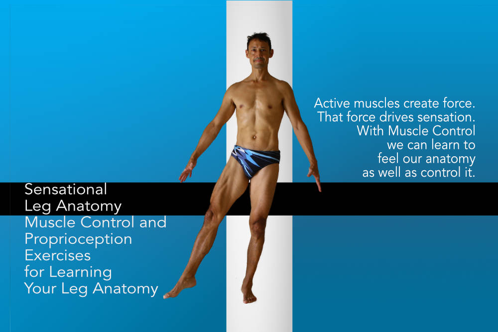 Muscle Control, Proprioception and Anatomy (Legs), exercises you can do while standing, no yoga poses required. Muscle Control, Proprioception and Anatomy (Legs), exercises you can do while standing, no yoga poses required. Neil Keleher. Sensational Yoga Poses.