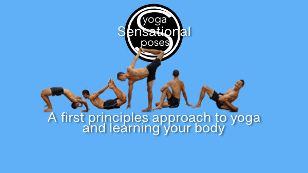 a first principles approach to learning your body. Neil Keleher, Sensational Yoga Poses.