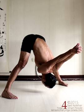 prasaritta padottanasana 